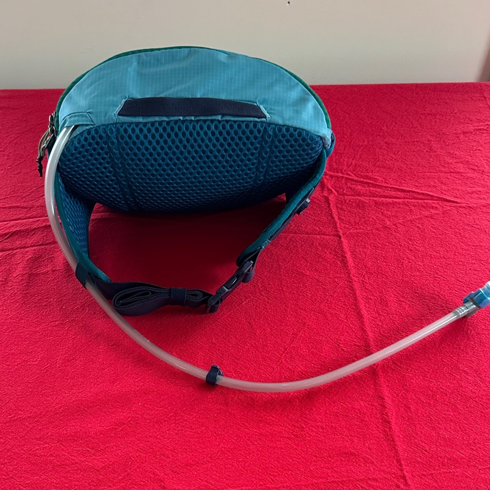 Cotopaxi Lagos Hydration Belt Bag Blue NWOT - Picture 2 of 12